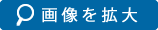 画像を拡大